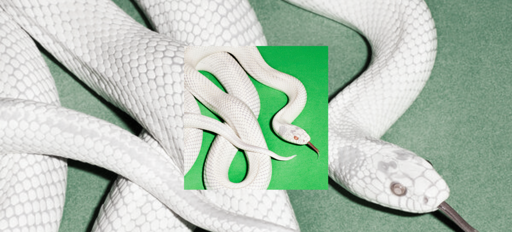 Screenshot 2025-12-14 141002