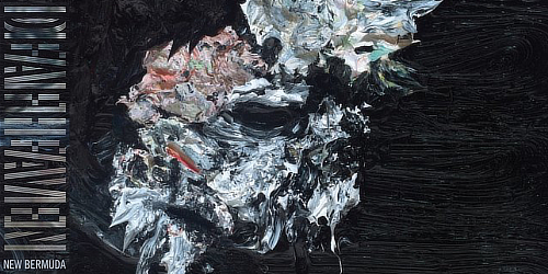 dfhvn_newbermuda_sq-126dd4e65bb3c51af93a0f939ed8933bb68b6f89-s800-c85as