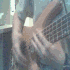 Bass_guy333's Avatar
