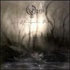 The Cynic's Avatar