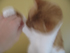 FFFRRRAAANNNKKK's Avatar