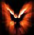 amp7325's Avatar