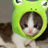 snidget's Avatar