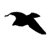itXalwaysXechos's Avatar