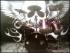 punkrockband's Avatar