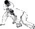 doink's Avatar