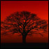 drumbum562's Avatar