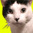 undeadjesus's Avatar