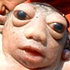 Rats!'s Avatar