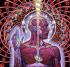 lateralus423's Avatar
