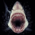 The_Shredder's Avatar