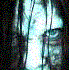 fallen_angel2121's Avatar