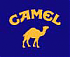 mdc017's Avatar