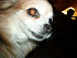 JRabs's Avatar