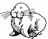132WalrusesInMexico's Avatar