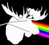 Jackith's Avatar