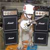 Rexx Shredd's Avatar