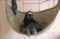 huffndoback's Avatar