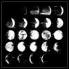 foxxxy's Avatar