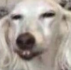 East Hastings's Avatar