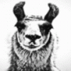 BlackLlama's Avatar