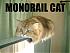 MonorailCat's Avatar