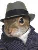 Squirrel's Avatar