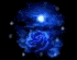 Blue Moon's Avatar