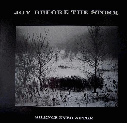 Silence before the Storm. Буря и тишина. Music from before the Storm Vinyl. Сайленс шторм игра.